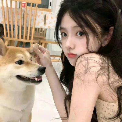 败犬求婚日